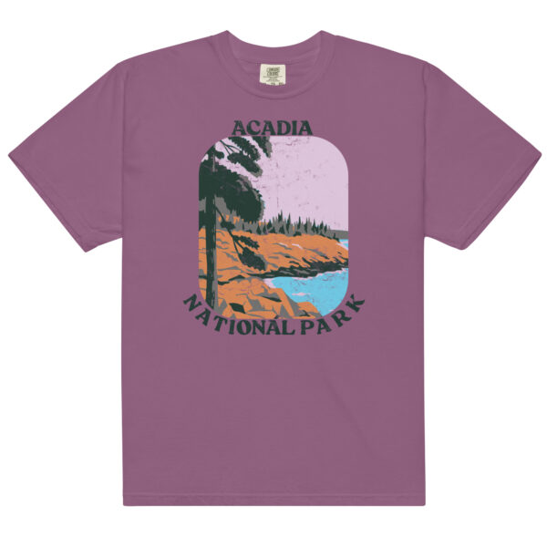 Acadia National Park Big Retro Distressed Comfort Colors Shirt - Image 5