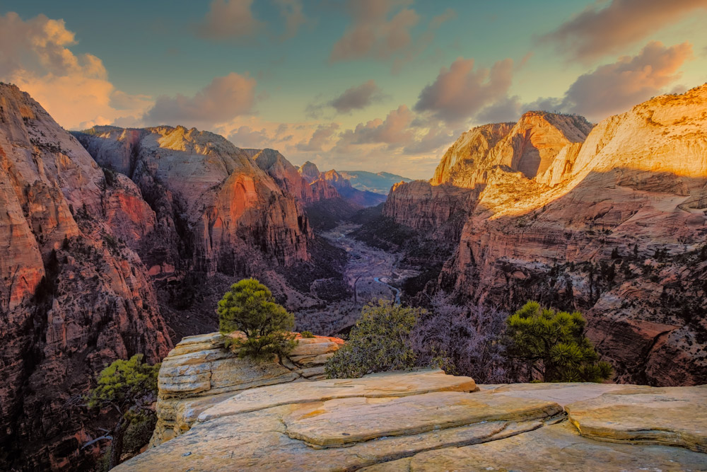 observation point zion best hikes