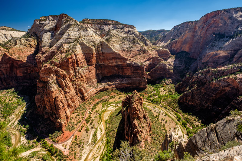 Scout Lookout zion best hikes