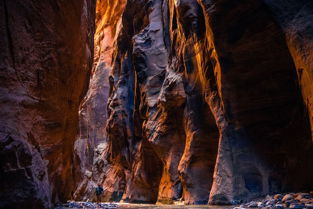 the narrows zion national park best hikes