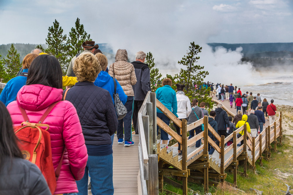 yellowstone national park in august