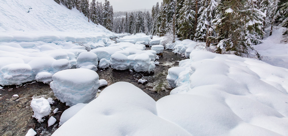 Yellowstone National Park in February