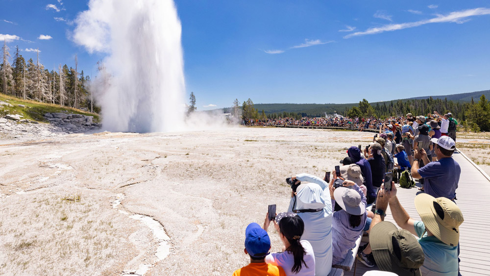 yellowstone national park in july