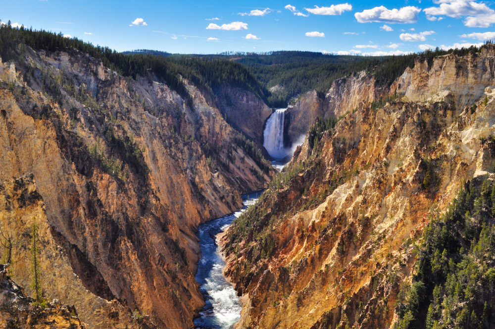 Yellowstone National Park in June