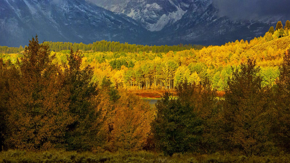 Yellowstone national park in October