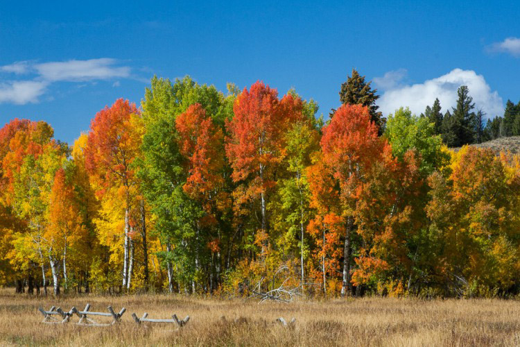 Yellowstone National Park in September