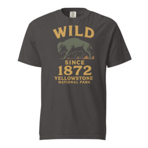 Wild Since 1872 Yellowstone National Park Bison